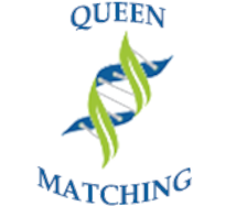Queen Matching